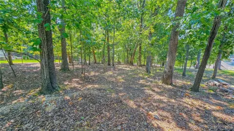 Wooded Lot with Lake View