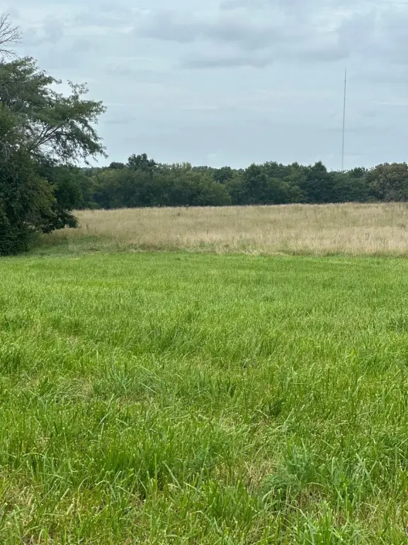 Picture 23