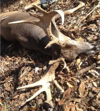 Hunting Land Equity Share