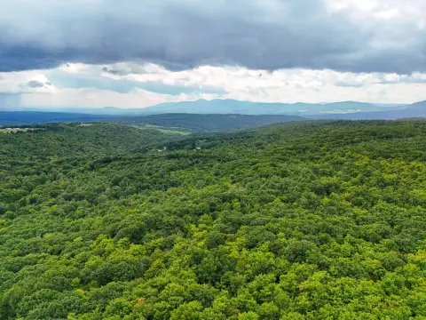 Wooded Recreational Land