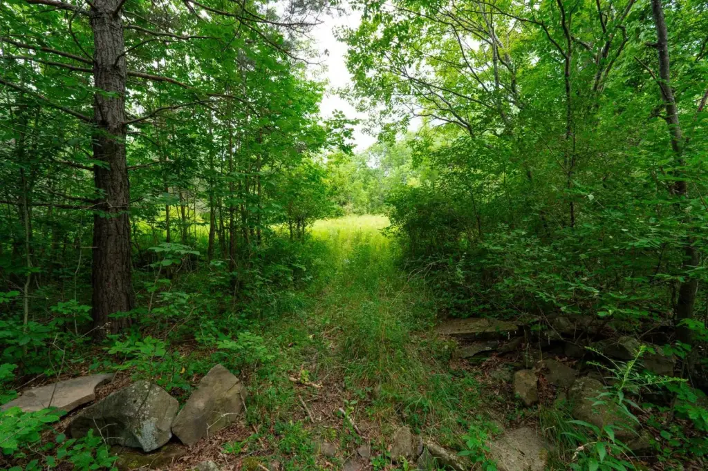 Picture 45