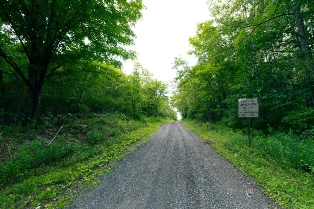 Picture 16