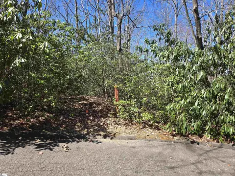 Scenic 1-Acre Homesite in Cleveland