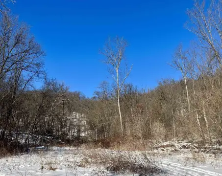 Wooded Land Parcel with Utilities