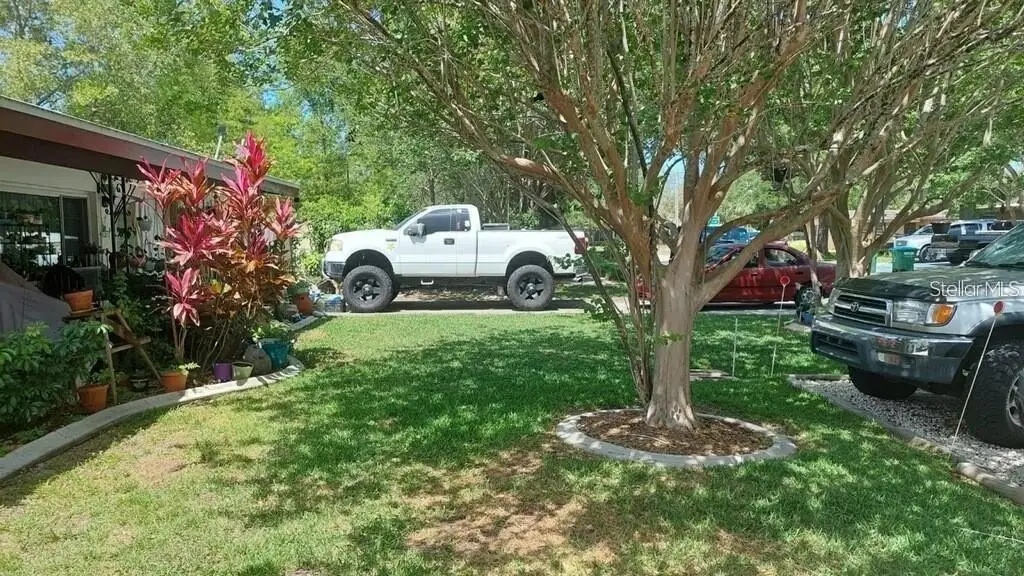 Picture 11
