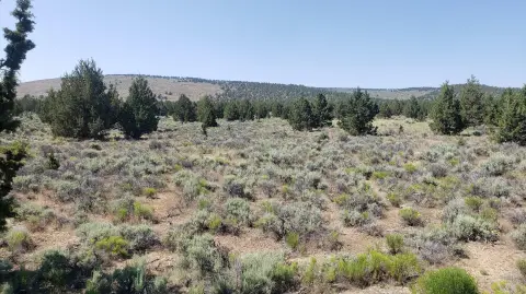 12.60 Acre Recreational Land Parcel
