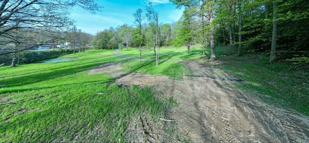 Picture 6