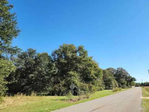 Unrestricted Wooded Acreage Near Atmore