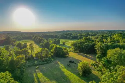 55 Acre Land with Creek