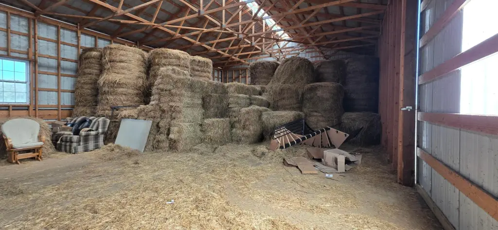 Picture 22