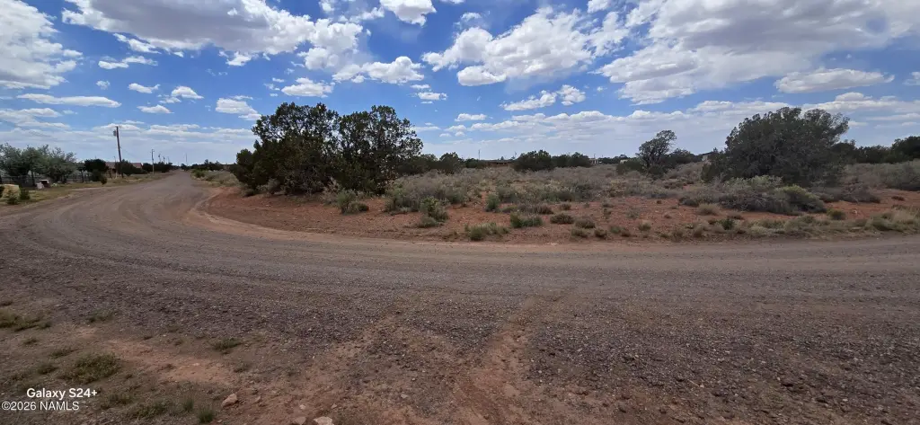 Picture 15