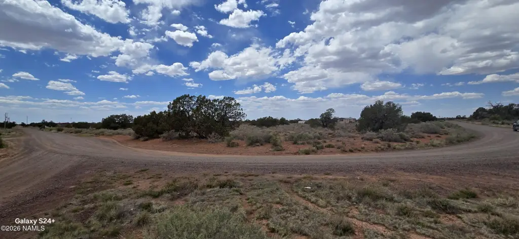 Picture 17