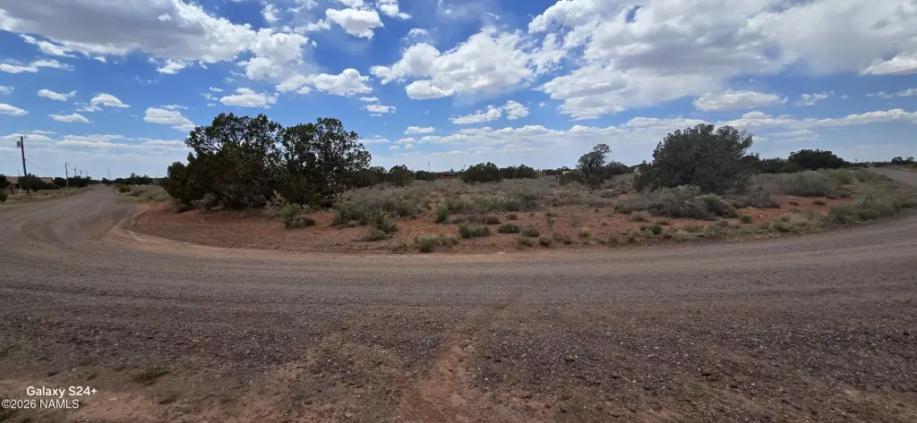 Picture 16