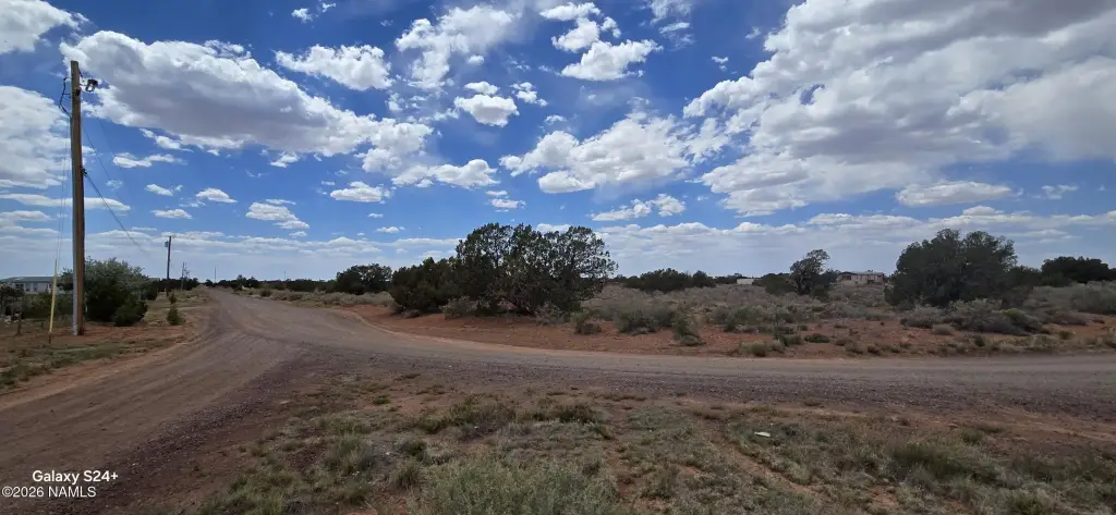 Picture 19