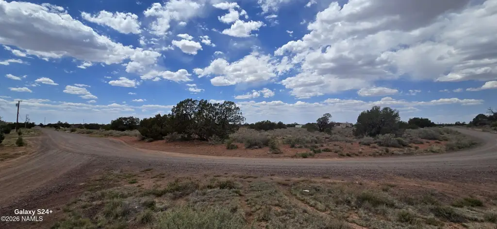 Picture 20