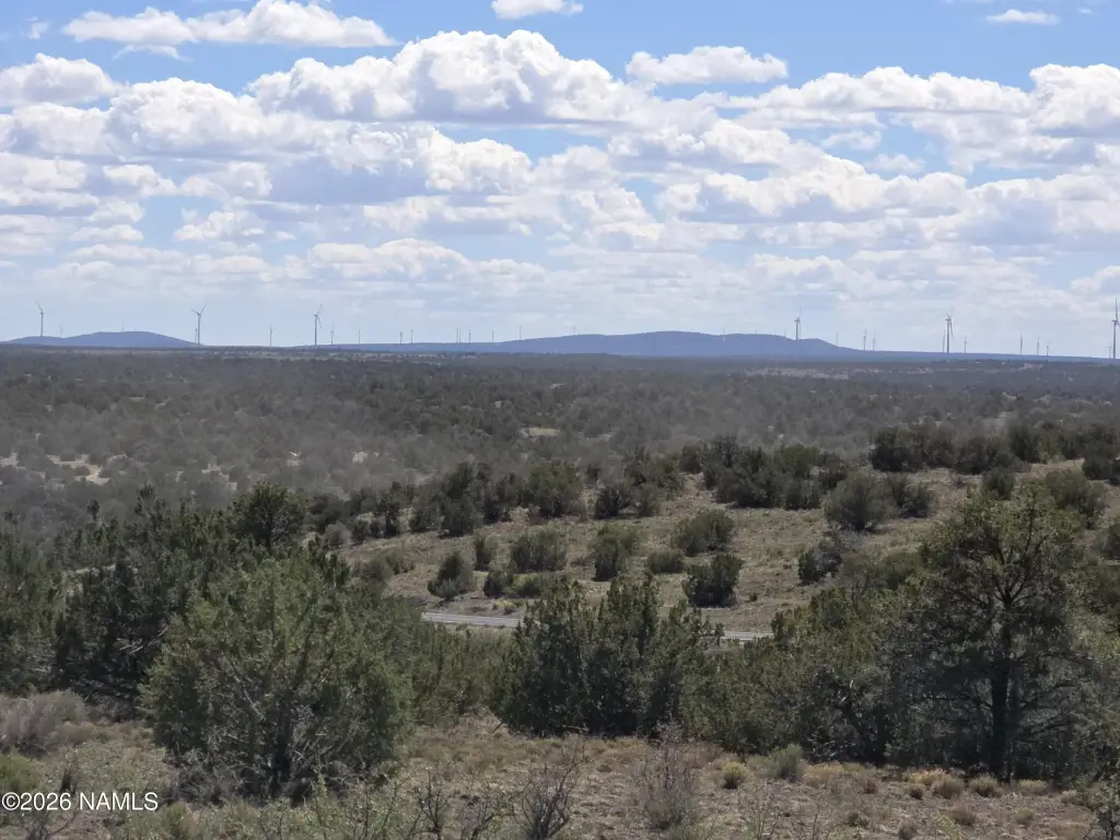 Picture 22