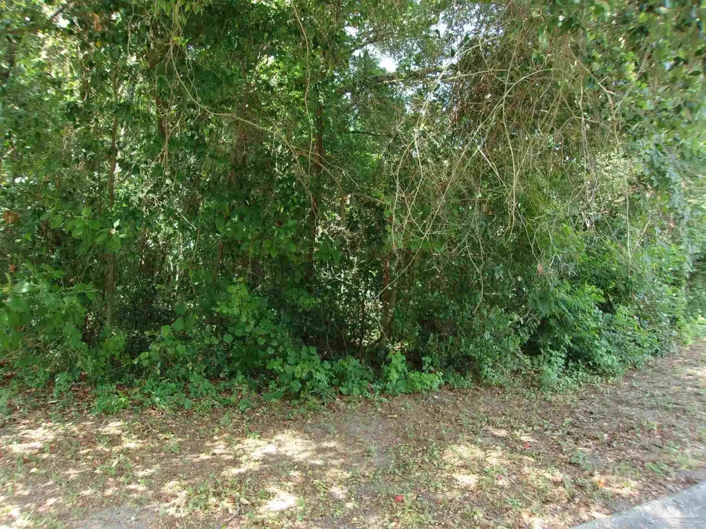 Picture 4