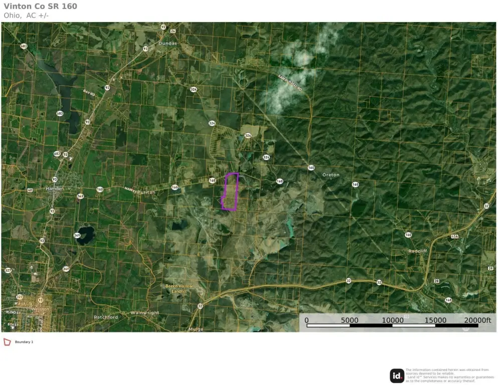 Picture 7