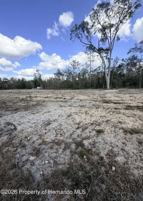 Picture 4