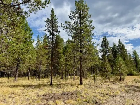 Treed Recreational Lot Near Deschutes