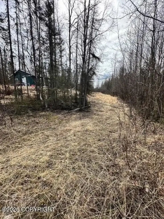 Picture 18