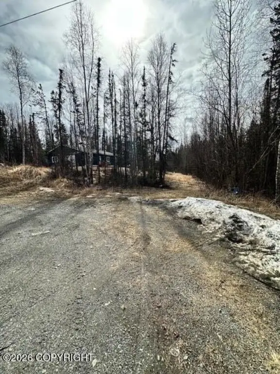 Picture 19