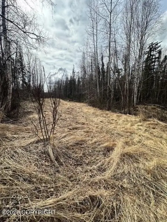 Picture 14