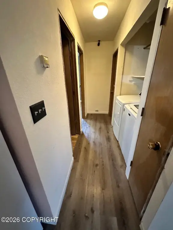 Picture 29