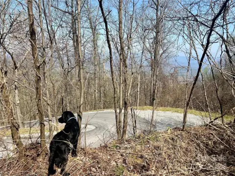 Land in Gateway Mountain