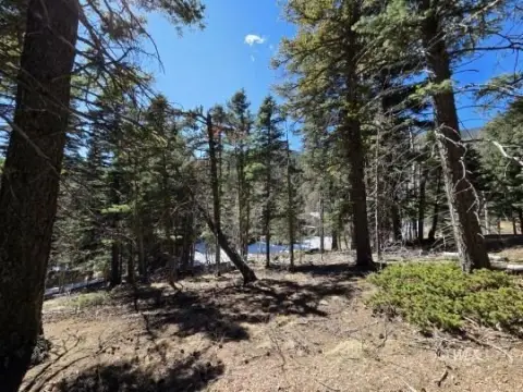 Treed Lot Near Lake Isabel