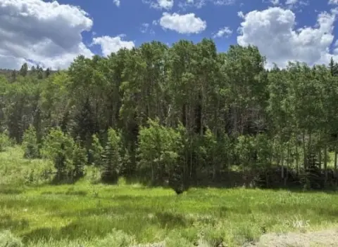 Westcliffe Vacant Land Near Wilderness