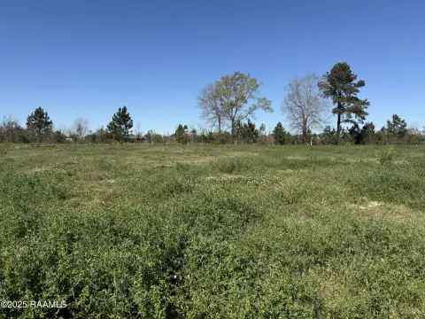 Residential Land in Established Neighborhood