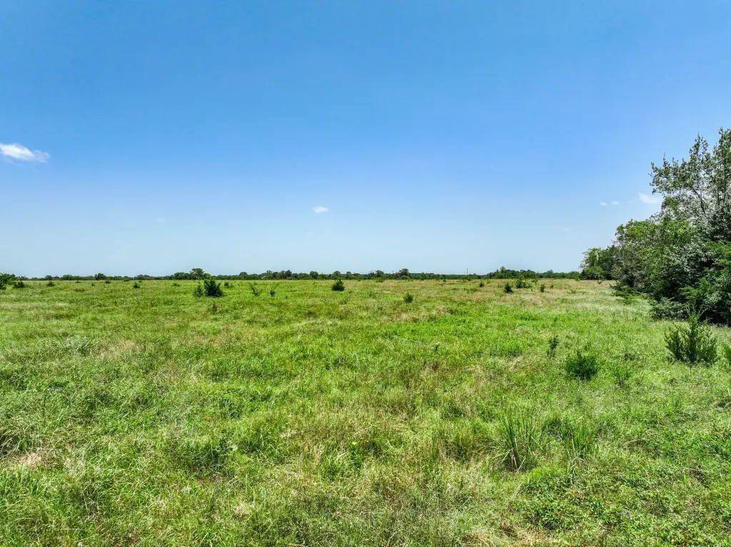 Picture 25