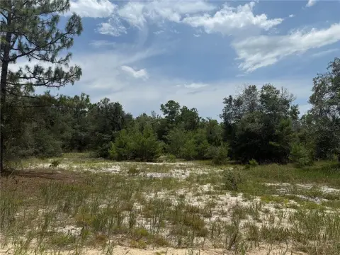 Wooded Land Parcel in Hawthorne