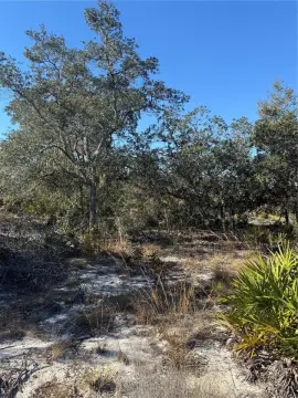 Land Between Bronson and Archer