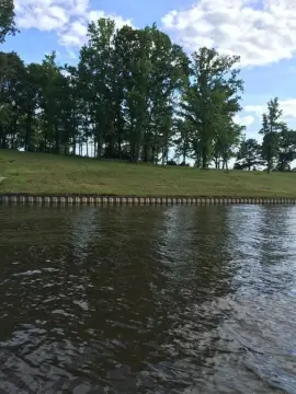 Waterfront Lot on Lake Palestine