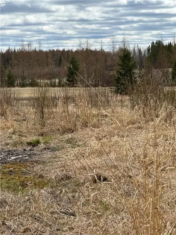 Picture 19