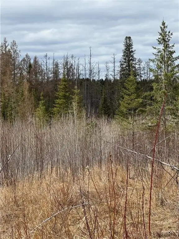 Picture 16