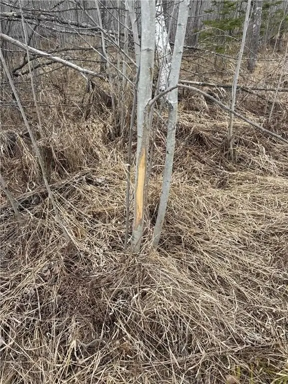 Picture 13