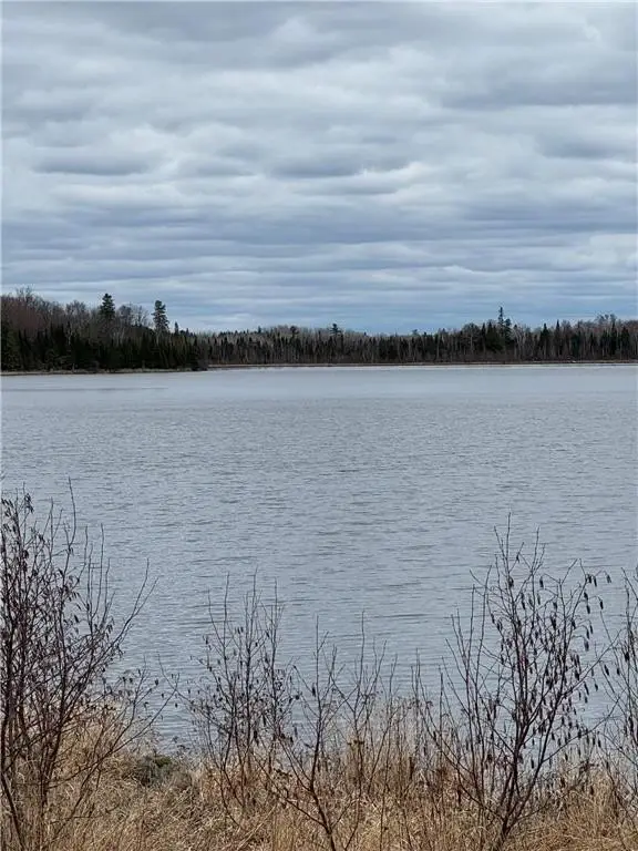 Picture 8