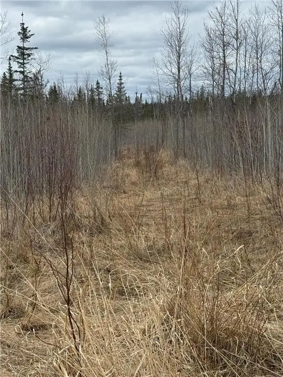 Picture 17