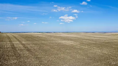 Productive Farmland on Camas Prairie