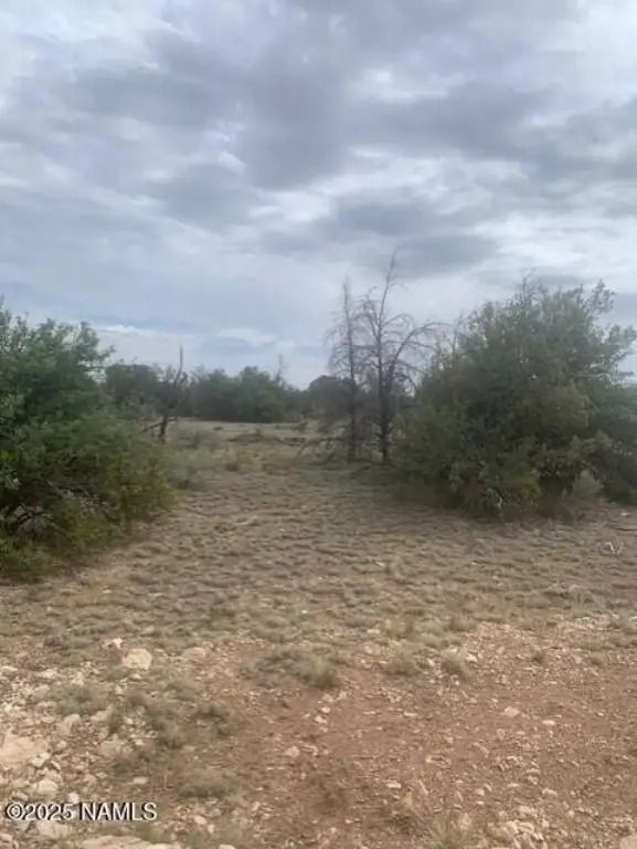 Picture 23