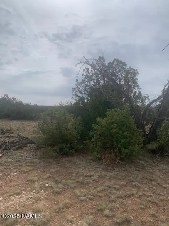 Picture 24