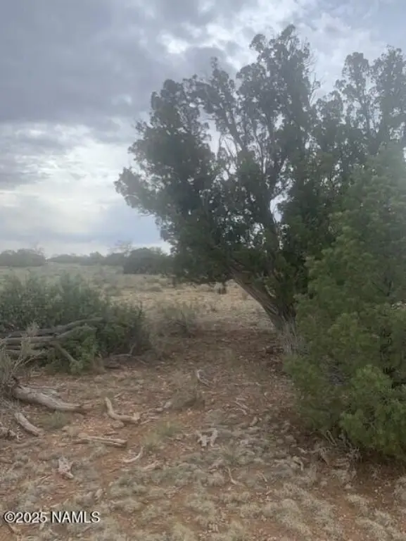 Picture 4