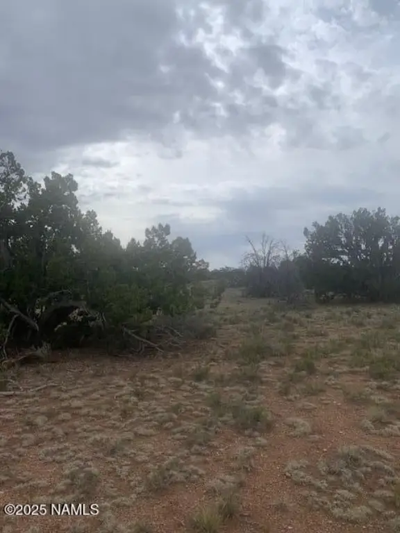 Picture 20