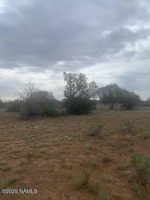 Picture 18
