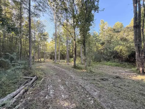 Wooded Land with Creek