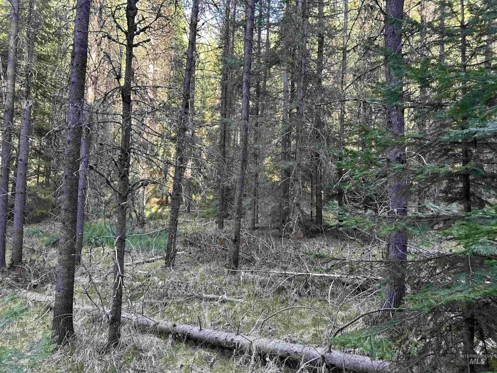 Picture 20