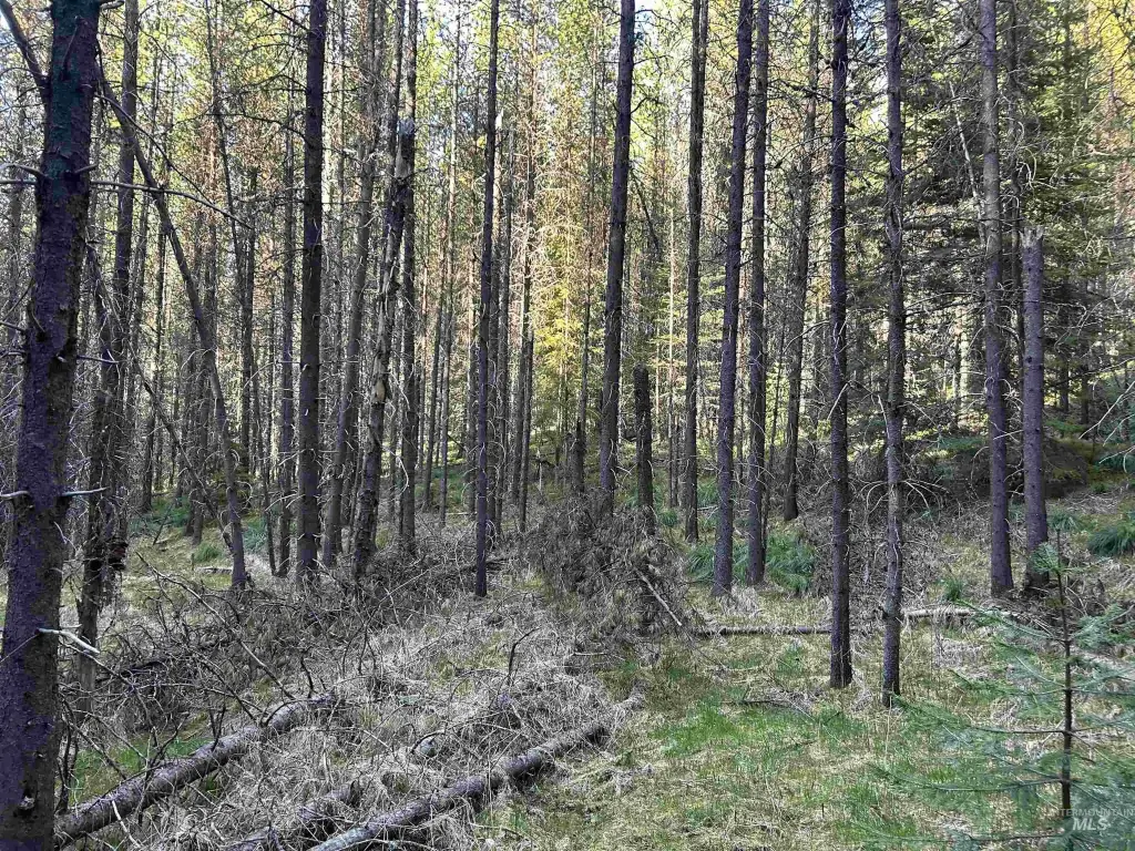 Picture 21